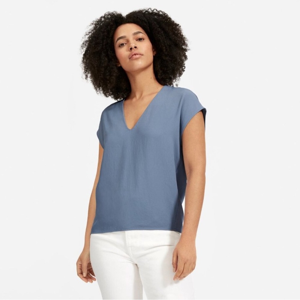 Everlane Japanese GoWeave V-Neck Tee Slate Blue 0